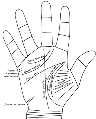 Чтение руки. Хиромантия | Moscow