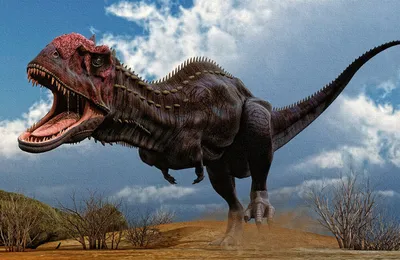 XGL:Хищные динозавры: купить по доступной цене в Алматы, Казахстане |  Интернет-магазин Marwin