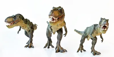 Самые хищные динозавры | Мир Вокруг | Дзен