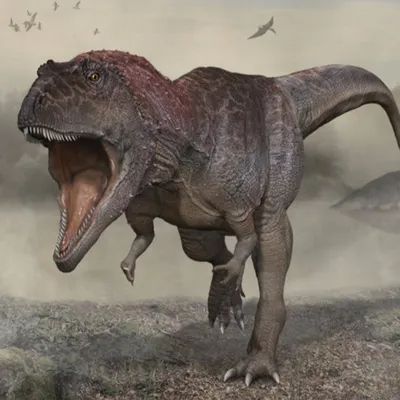 Обнаружен новый вид хищного динозавра с маленькими «ручками»: Наука: Наука  и техника: Lenta.ru