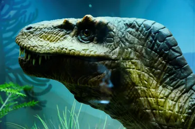 Купить Набор из 12 фигурок в тубусе \"Хищные динозавры\", Safari ltd в  интернет-магазине Мир динозавров