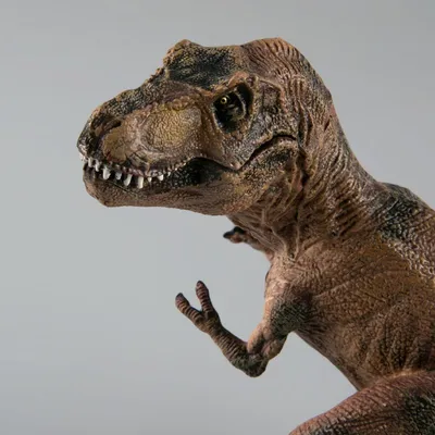 Крупнейшие хищные динозавры оказались искусными пловцами