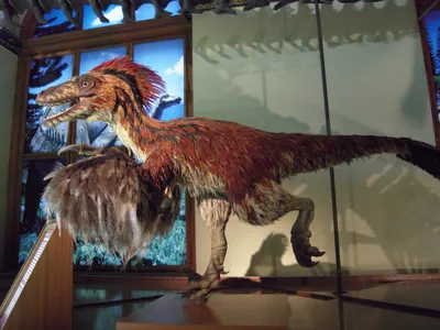 Доисторические монстры: 5 самых страшных хищных динозавров — Dino Farm
