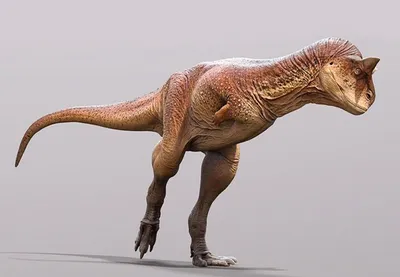 Палеонтологи выяснили, что крупнейшие хищные динозавры плавали не хуже  крокодилов