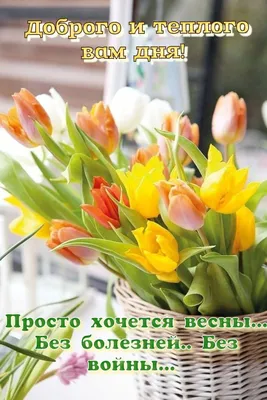 Как хочется весны! :: Наталья Казанцева – Социальная сеть ФотоКто