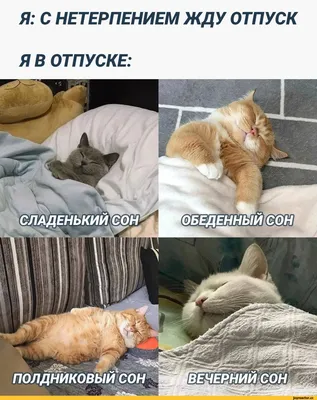 Sorry я в отпуске | Facebook