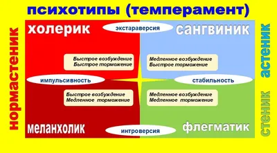 Что такое темперамент. Кто такие меланхолик, холерик, сангвиник и