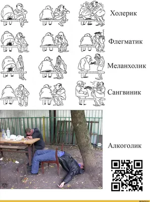 Флегматик и холерик