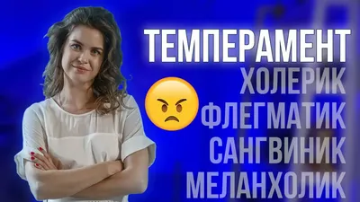 А вы знаете свой темперамент? У меня: сангвиник. А у вас? | Бизнес-идеи |  ВКонтакте