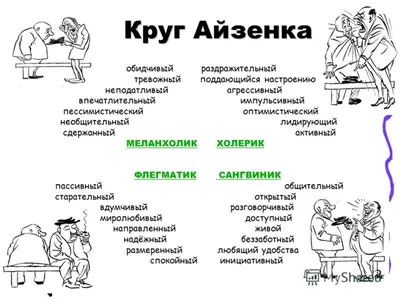 Холерик: истории из жизни, советы, новости, юмор и картинки — Все посты |  Пикабу