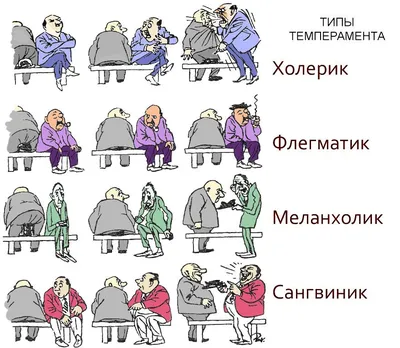 ПРОФЕССИИ ДЛЯ ХОЛЕРИКОВ