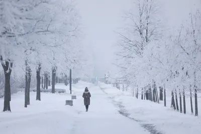 Почему холод причиняет нам боль? Вот как это объясняет наука | Новости  Азовского района и Азова, Ростовская область