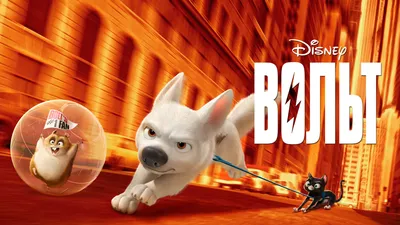 Фото Хомяк, один из офисных работников, из мультфильма Зверополис /  Zootropolis