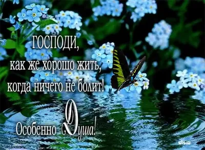 Картинки благословенного утра и прекрасного дня христианские с надписями  весна (67 фото) » Картинки и статусы про окружающий мир вокруг