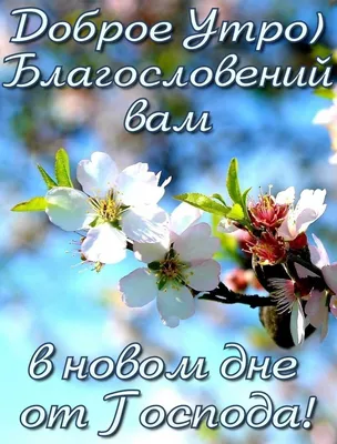 Пин от пользователя Fhjbc на доске Зима | Христианские картинки, Доброе  утро, Новогодние цитаты