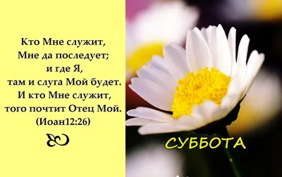 Христианские открытки на каждый день недели с библейским текстом. |  Христианские открытки | Дзен