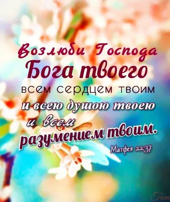 Пин от пользователя Любовь на доске Доброе утро | Христианские картинки,  Христианские цитаты, Благословение