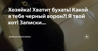 Хватит бухать: истории из жизни, советы, новости, юмор и картинки — Все  посты, страница 16 | Пикабу