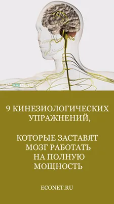 Кинезиологические упражнения. Государственное учреждение образования  \"Белицкая средняя школа Лидского района\"