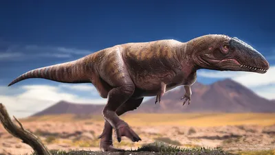 [81+] Классификация динозавров в картинках обои