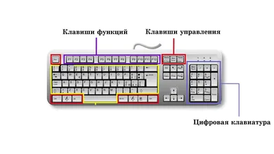 Кастомная клавиатура: что стоит знать новичку при выборе и сборке /  Оффтопик / iXBT Live