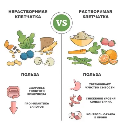 10 лучших источников клетчатки, кроме овощей | Питание