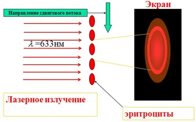 Клетки крови: лейкоциты, эритроциты, тромбоциты — Биология с Марией  Семочкиной на vc.ru