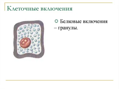 Параметрическая архитектура. Клеточные автоматы. Воркшоп AA DRL. | Дмитрий  Аранчий Architects