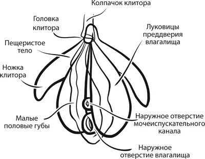 https://www.tiktok.com/@ministrsexology/video/7334328899419098373