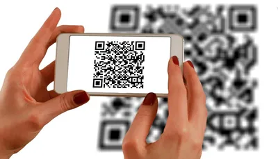 Генераторы QR-кодов – как сделать QR-код бесплатно