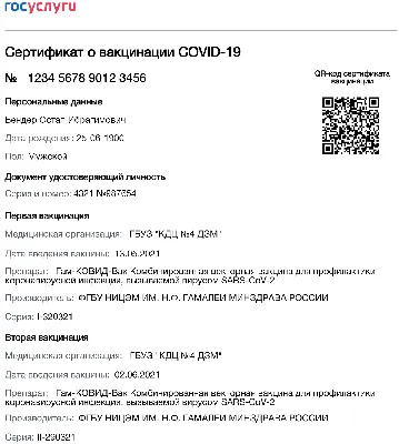 Как научиться читать код сайта и зачем это нужно, если вы не программист