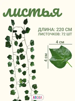 Продается эпипремнум (лиана). Большой (высота вместе: 7000 KGS ➤ Другие  комнатные растения | Бишкек | 82842743 ᐈ lalafo.kg