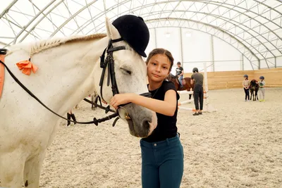 Конный спорт. Выездке лошадей на арене Стоковое Изображение - изображение  насчитывающей копытно, чистоплемено: 198323793