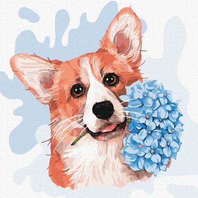 Mischievious Corgis | Изображения собак, Вельш-корги, Рисунки животных