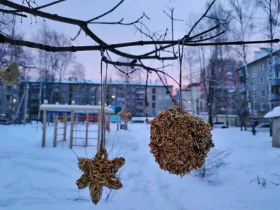 Кормушка для птиц средняя \"Изумруд\" купить в интернет-магазине Ярмарка  Мастеров по цене 4000 ₽ – PRKI8RU | Кормушки для птиц, Санкт-Петербург -  доставка по России