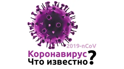 Коронавирус возвращается. В Петербурге вспышка COVID-19 — в некоторых  стационарах не хватает ковидных коек — Новая газета