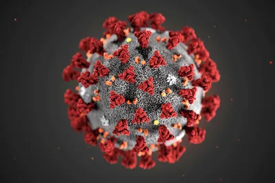 What is coronavirus and Covid-19? An explainer | CNN