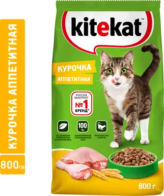 Сухой корм для кошек Kitekat Курочка Аппетитная, 800 г - купить с доставкой  по выгодным ценам в интернет-магазине OZON (136495279)