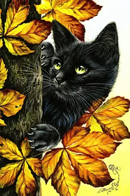Скачать обои осень, лес, кошка, белый, кот, взгляд, листья, свет, раздел  кошки в разрешении 1280x720