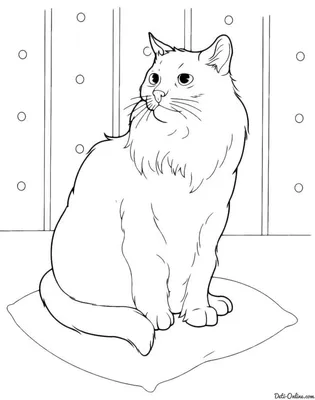 Раскраска Кот в задумчивости | Раскраски Коты, кошки и котята | Раскраски с  животными, Раскраски, Раскраски для печати