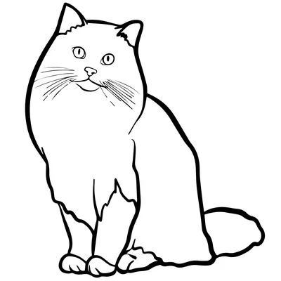 Сибирский кот — раскраска для детей. Распечатать бесплатно.