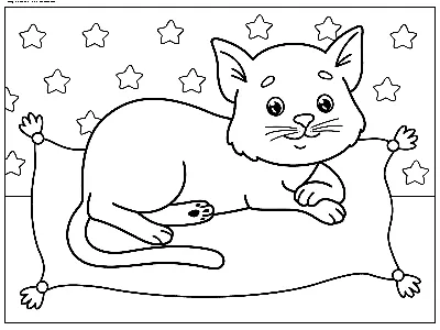 Раскраска Кот | Раскраски домашних животных животных. Несложные раскраски  домашних питомцев