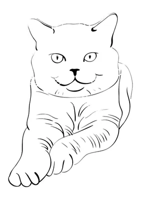 Раскраска Камышовый кот | Раскраски для детей печать онлайн