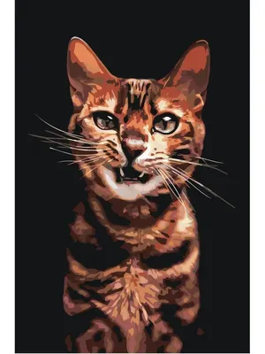 Раскраски кот из алисы в стране чудес (40 фото) » Картинки, раскраски и  трафареты для всех - Klev.CLUB