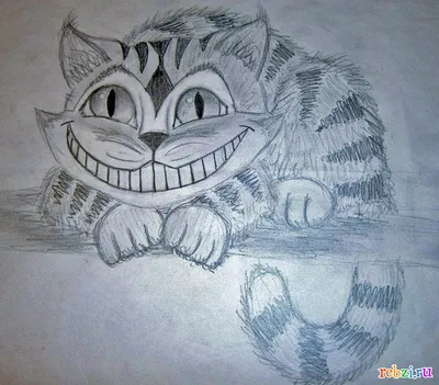 Cat ;art Белая кошка или кот ;графика ; рисунок ;арт ; люблю я кошек) |  Цветные карандашные рисунки, Рисунки, Рисунок дракона