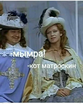 Кот Матроскин: истории из жизни, советы, новости, юмор и картинки —  Горячее, страница 4 | Пикабу