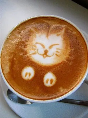 Кот кофейный 😊 Кофе, кот, гурман, рисунок, акварель, иллюстрация, юмор.  Coffee cat 😊 Illustration, drawing, art, wat… | Cats illustration, Cat  drawing, Cat coffee