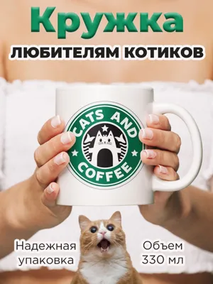 Кот и кофе в 2024 г | Кошачьи картины, Забавные зверюшки, Кошки