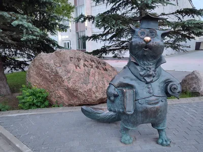 Кот-ученый станет символом Книжного салона в Петербурге - KP.RU