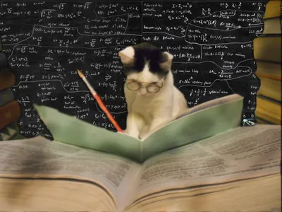 Кот учёный о нейрогастрономии | Наука и жизнь